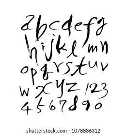 Vector fonts / Handwritten calligraphy 