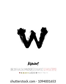 Vector fonts / Handwritten calligraphy 