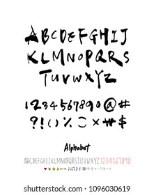 Vector fonts / Handwritten calligraphy 