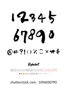 Vector fonts / Handwritten calligraphy 
