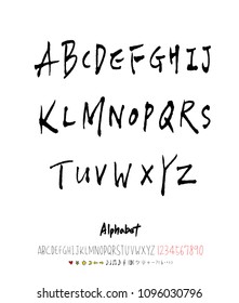 Vector fonts / Handwritten calligraphy 
