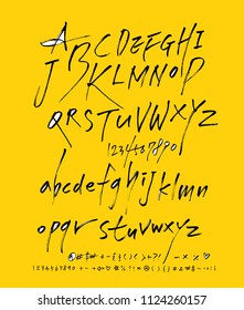 Vector fonts / Handwritten calligraphy 