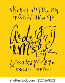 Vector fonts / Handwritten calligraphy 