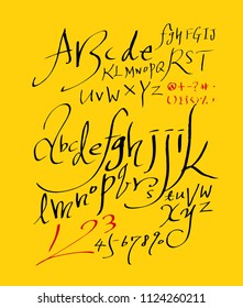 Vector fonts / Handwritten calligraphy 