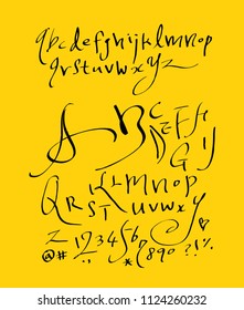Vector fonts / Handwritten calligraphy 
