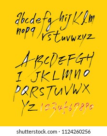 Vector fonts / Handwritten calligraphy 