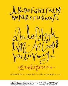 Vector fonts / Handwritten calligraphy 