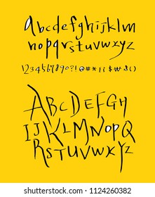 Vector fonts / Handwritten calligraphy 