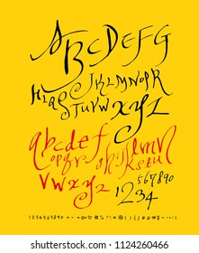 Vector fonts / Handwritten calligraphy 