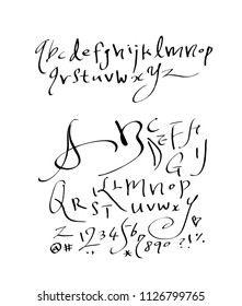 Vector fonts / Handwritten calligraphy 