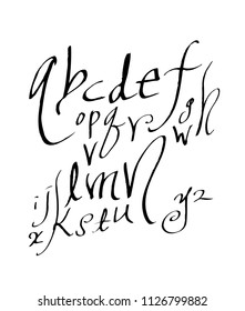 Vector fonts / Handwritten calligraphy 
