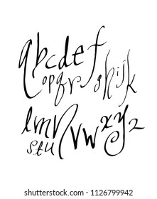 Vector fonts / Handwritten calligraphy 