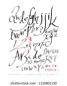 Vector fonts / Handwritten calligraphy