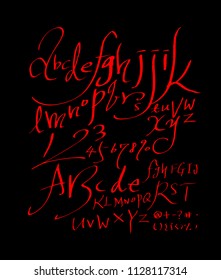 Vector fonts / Handwritten calligraphy