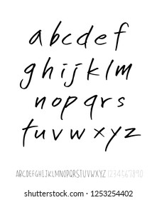 Vector fonts / Handwritten calligraphy