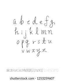 Vector fonts / Handwritten calligraphy