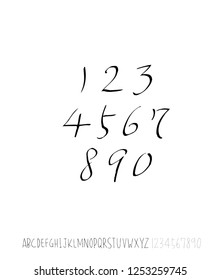 Vector fonts / Handwritten calligraphy