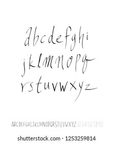 Vector fonts / Handwritten calligraphy
