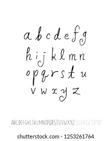 Vector fonts / Handwritten calligraphy