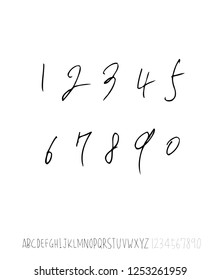 Vector fonts / Handwritten calligraphy