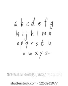 Vector fonts / Handwritten calligraphy