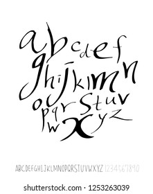 Vector fonts / Handwritten calligraphy