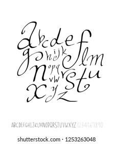 Vector fonts / Handwritten calligraphy