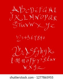 Vector fonts / Handwritten calligraphy