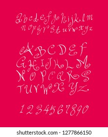 Vector fonts / Handwritten calligraphy