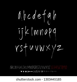 Vector fonts / Handwritten calligraphy 