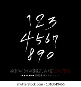 Vector fonts / Handwritten calligraphy 