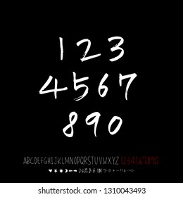 Vector fonts / Handwritten calligraphy 