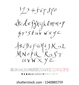 Vector fonts / Handwritten calligraphy 