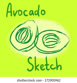 vector food avocado halves sketch 