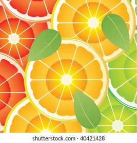 vector food background of citrus slices, healthy diet concept