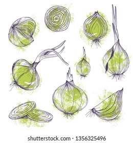 Vector food clip art set of clear onions hand drawn isolated vegetables purple and green colors