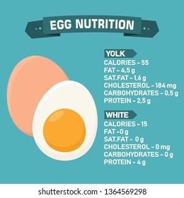 Vector food icon calories chicken eggs. An egg in the shell and half an egg with yolk, a description of the nutritional value of the product. Illustration of eggs nutrition in flat minimalism style.