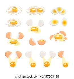 Vector food icon Chicken eggs - boiled, broken and raw eggs. An egg in the shell and half an egg with the yolk. Illustration  in cartoon style.