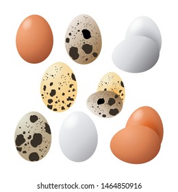 Vector food icon. Chicken and quail eggs brown and white color.An egg in the shell . Illustration in cartoon style.