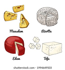 Vector food icons of cheeses. Colored sketch of food products. Maasdam, ricotta, edam, tofu