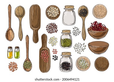 Vector food icons. Colored sketch of food products. Spices, nuts, herbs, beans, cereals, oil, spice jars, wooden spoons.