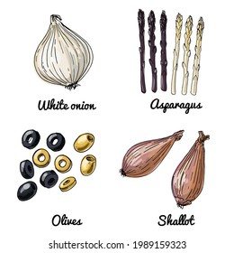 Vector food icons of vegetables. Colored sketch of food products. White onion, asperagus, olives, shallot