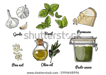 Vector food icons of vegetables. Colored sketch of food products. Pesto sauce recipe. Basil, Parmesan cheese, garlic, olive oil, Pine nuts