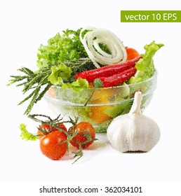Vector food illustration