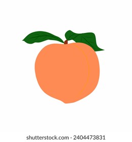 Vector food peach fruit with green leaves