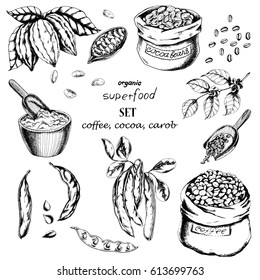 Vector food set with cocoa, carob, coffee on white. Ink drawn illustration bags of coffee, cocoa beans, powder, branch of coffee and cocoa and carob in vintage style.