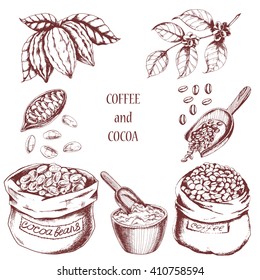 Vector food set with cocoa and coffee elements. Hand drawn bags of coffee and cocoa beans,  powder, branch of coffee and branch of cocoa in sketch style. For  restaurant menu.