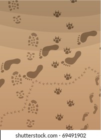 vector foot prints of men, child, dog and a bird on sand