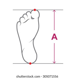 Vector Foot Size.