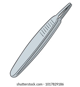 vector of forcep